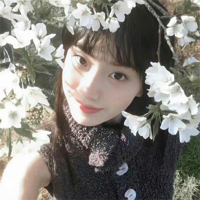 真的要去航海 第二季